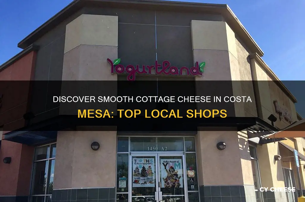 where cani buy smooth cottage cheese in costa mesa