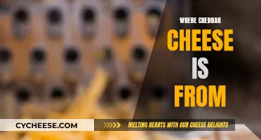The Cheddar Cheese Origin Story: A Tasty Adventure