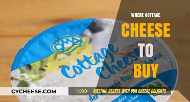 Best Places to Buy Cottage Cheese: A Shopper's Guide