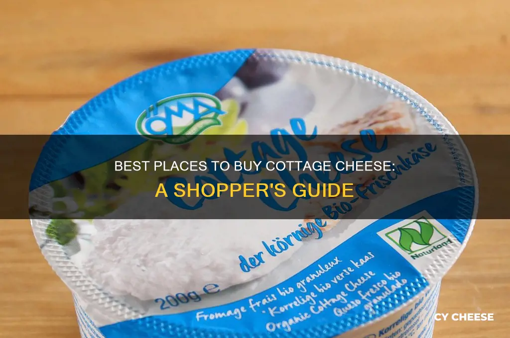 where cottage cheese to buy