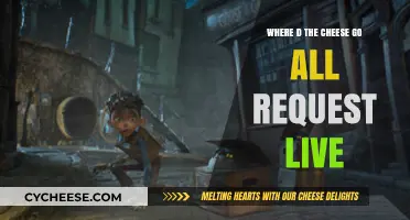 Where Did the Cheese Go? All Requests Live Explained