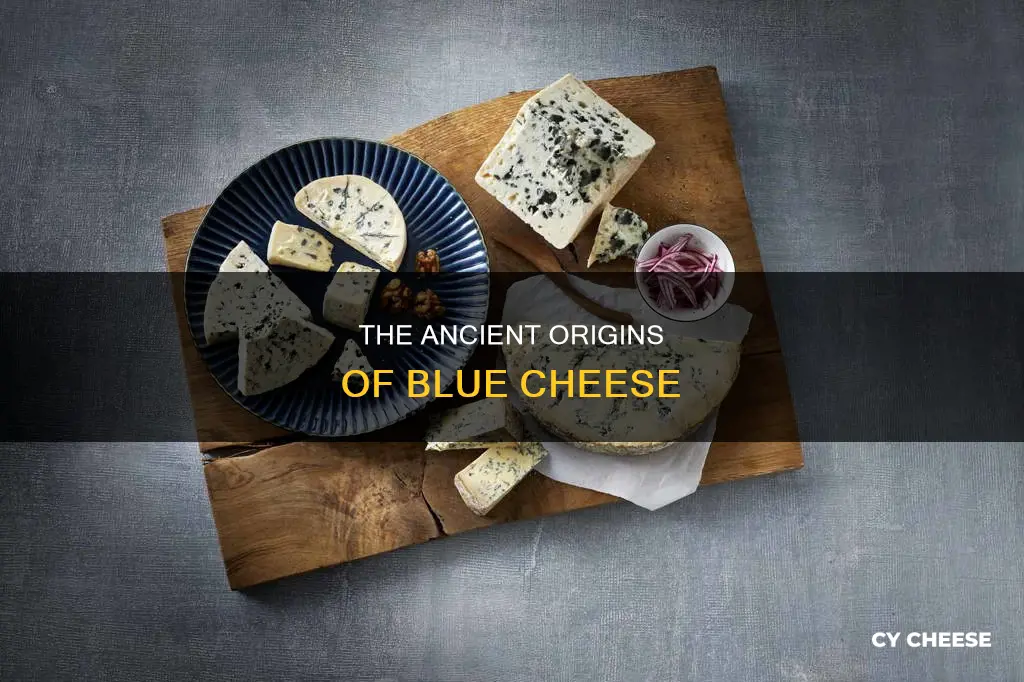 where did blue cheese come from
