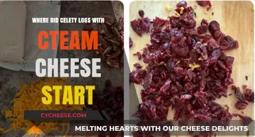 The Surprising Origins of Celebrity Logs with Cream Cheese Trend