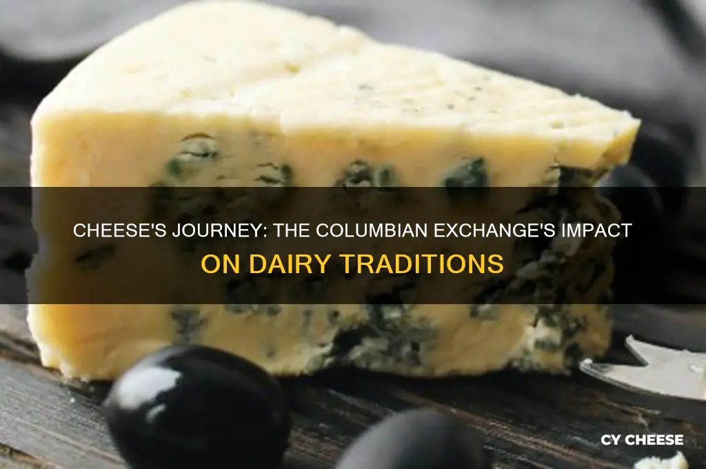 where did cheese come from in the columbian exchange