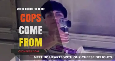 Unraveling the Origins of 'Cheese It, the Cops!' Slang Mystery