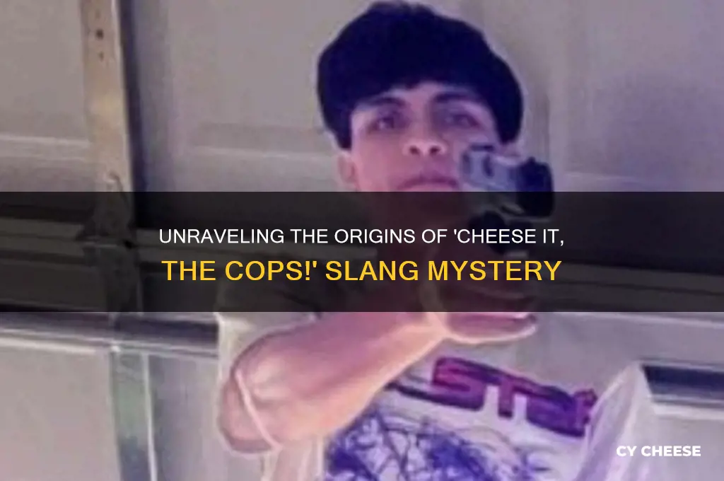 where did cheese it the cops come from