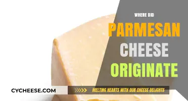 Parmesan Cheese: A Historical Taste of Italy