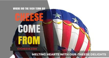 Unraveling the Origins of the 1920s Slang Term 'Big Cheese