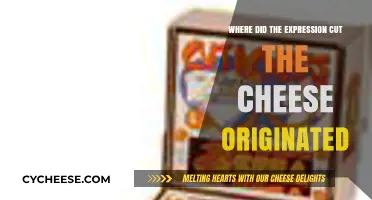Cut the Cheese": Unraveling the Origins of a Smelly Expressio