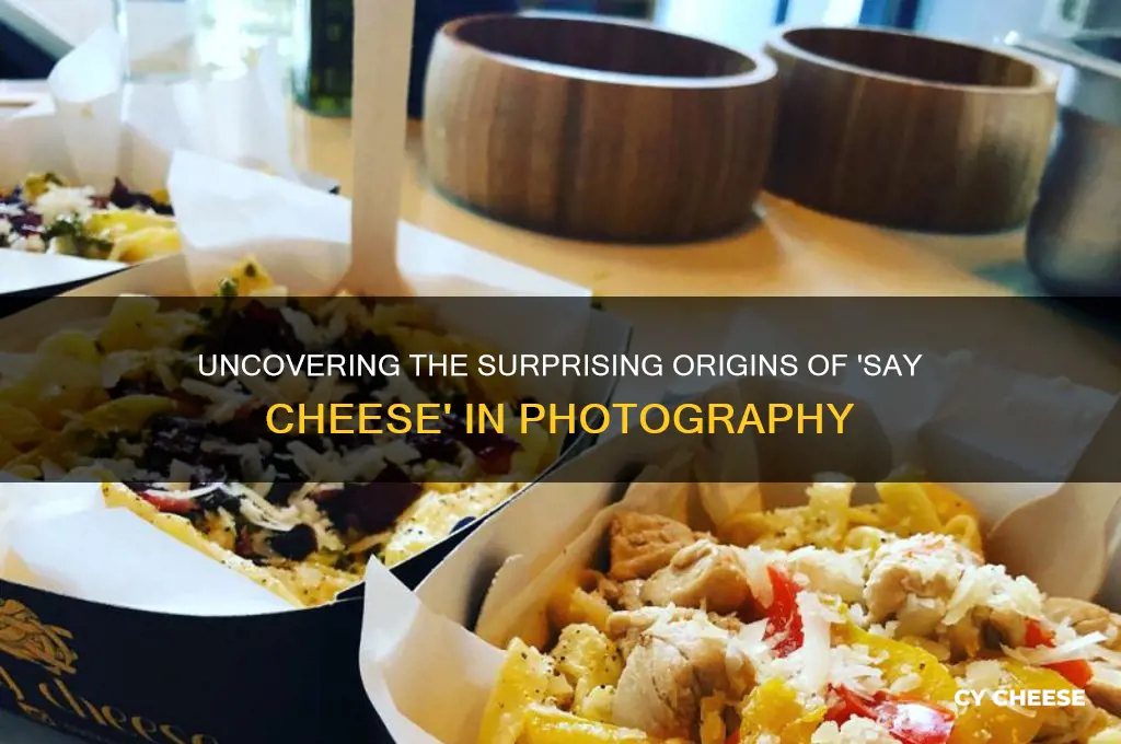where did the expression say cheese come from
