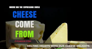 Swiss Cheese Expression: Its Surprising Origin Story