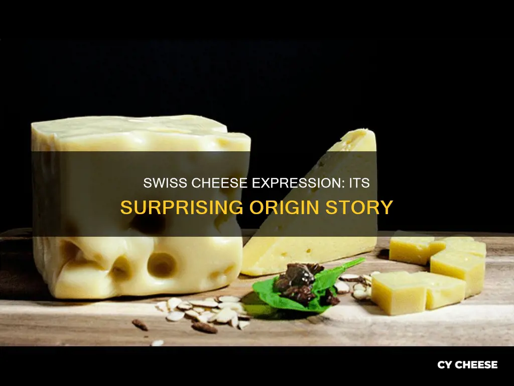 where did the expression swiss cheese come from