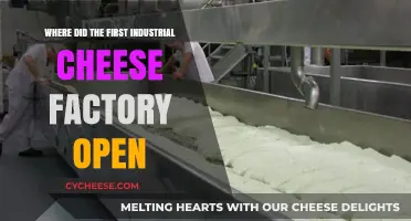 The Birthplace of Industrial Cheese: Uncovering the First Factory's Origins