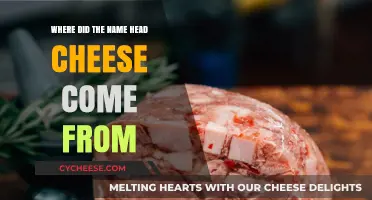 Unraveling the Mystery: The Surprising Origin of Head Cheese