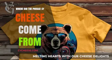 Say Cheese": Uncovering the Surprising Origins of a Classic Camera Cu