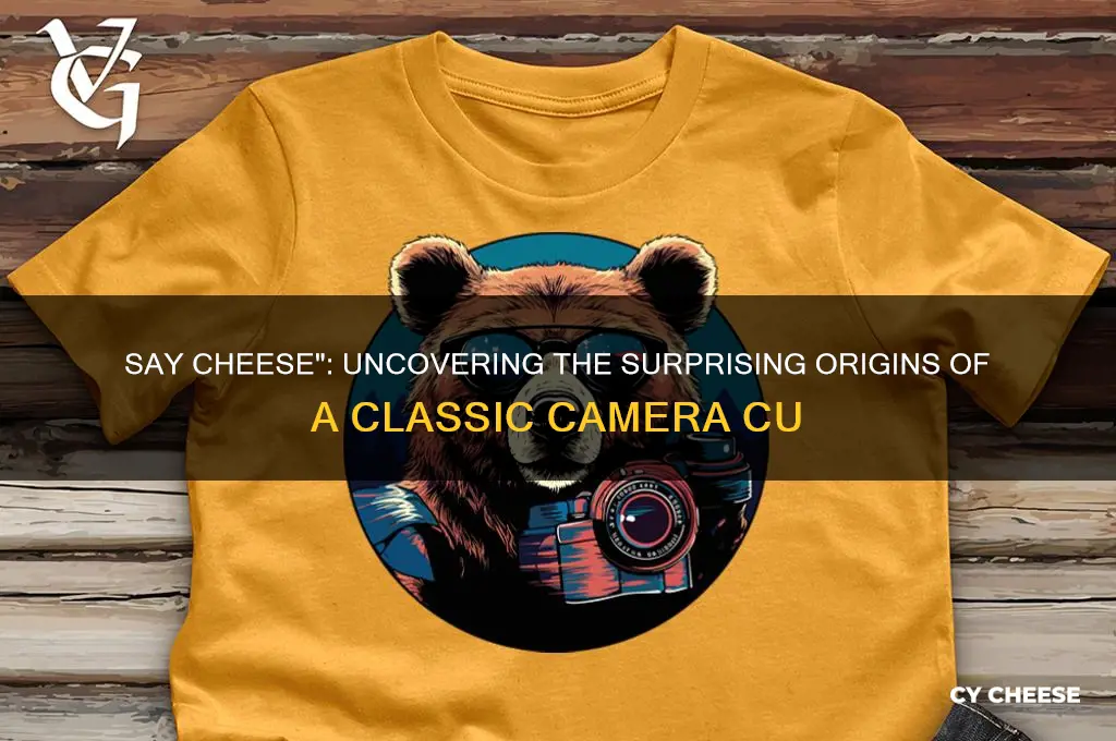 where did the phrase sy cheese come from