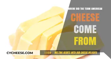 The Surprising Origins of the Term 'American Cheese' Explained