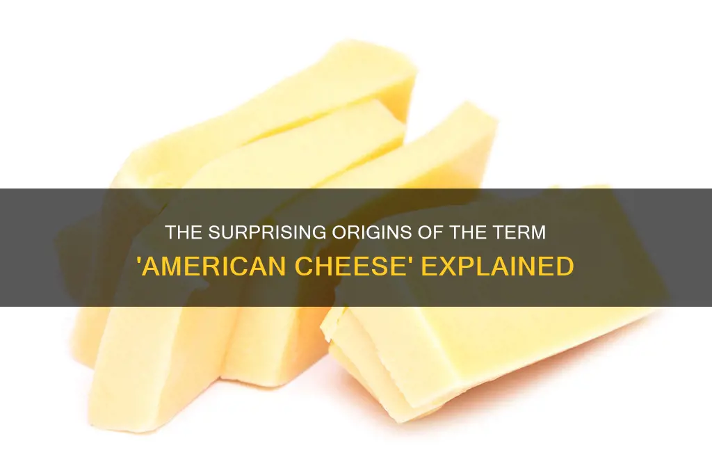 where did the term american cheese come from