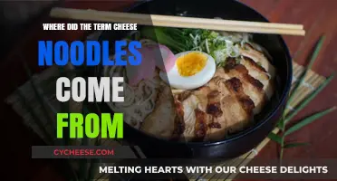 Unraveling the Tasty Origins of the Cheese Noodles Name