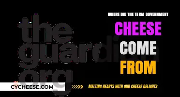 Unraveling the Origins of the Term 'Government Cheese