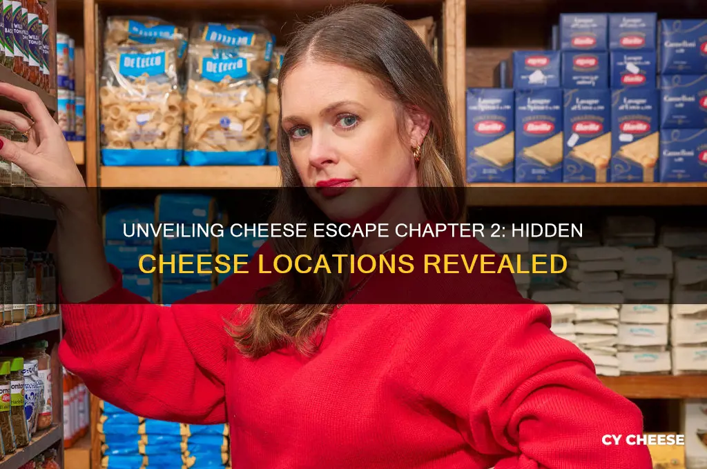 where do are the chesses in cheese escape chapter 2