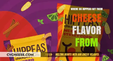 Hippeas' Cheesy Pleasures: The Source of Flavor