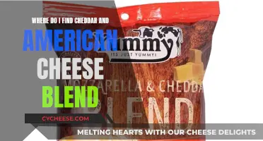 Where to Find Cheddar and American Cheese Blend: A Guide