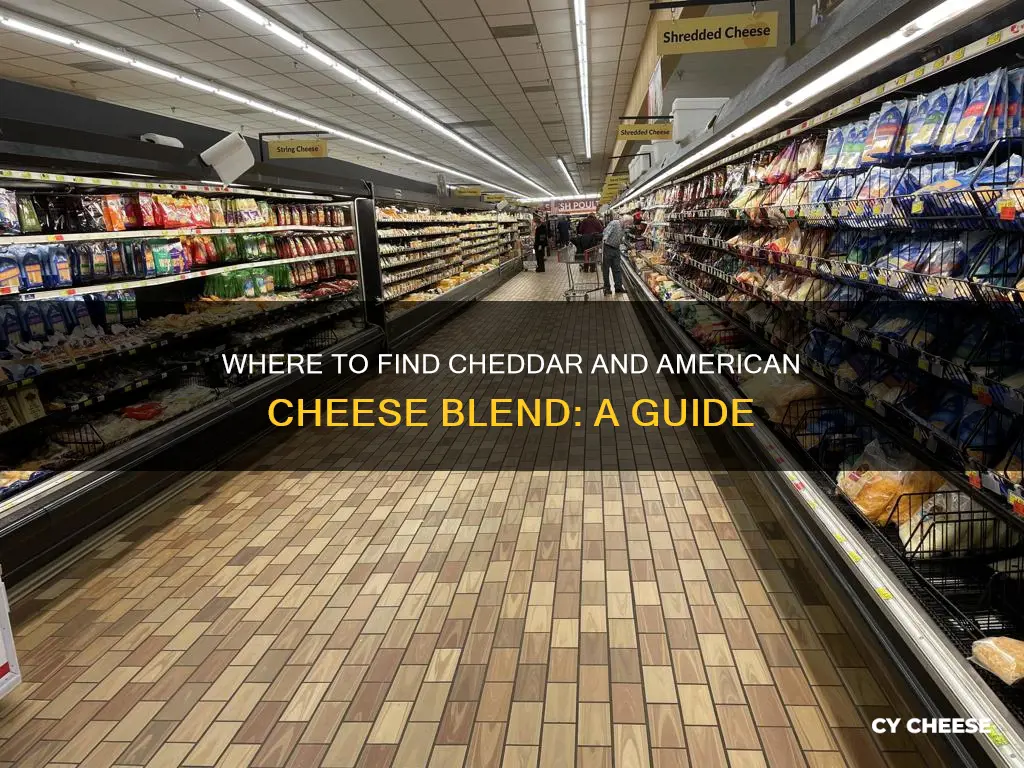 where do i find cheddar and american cheese blend