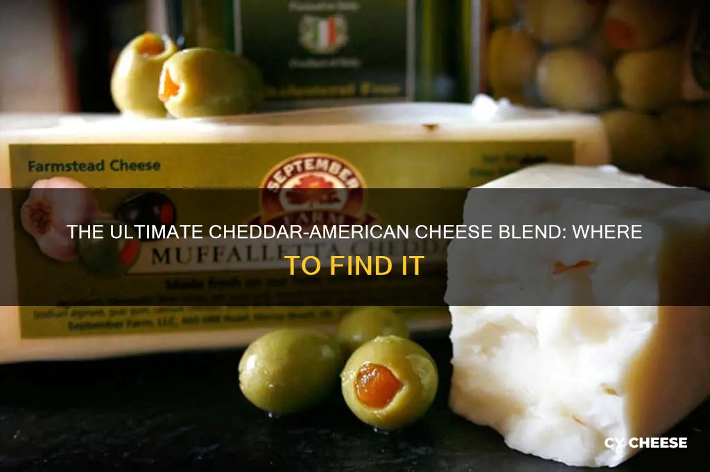 where do i find cheddar and american cheese blend