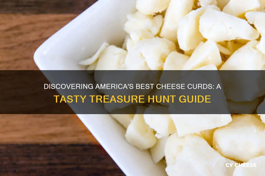 where do i find cheese curds in america