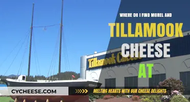Discover Morel Mushrooms and Tillamook Cheese: Your Ultimate Shopping Guide