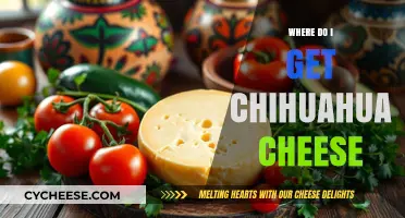 Finding Chihuahua Cheese: A Guide to the Authentic Taste