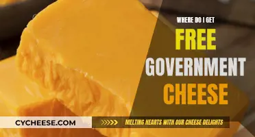 How to Get Free Government Cheese?