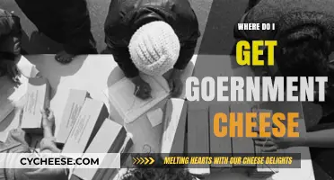 Free Government Cheese: Where and How to Get Some?