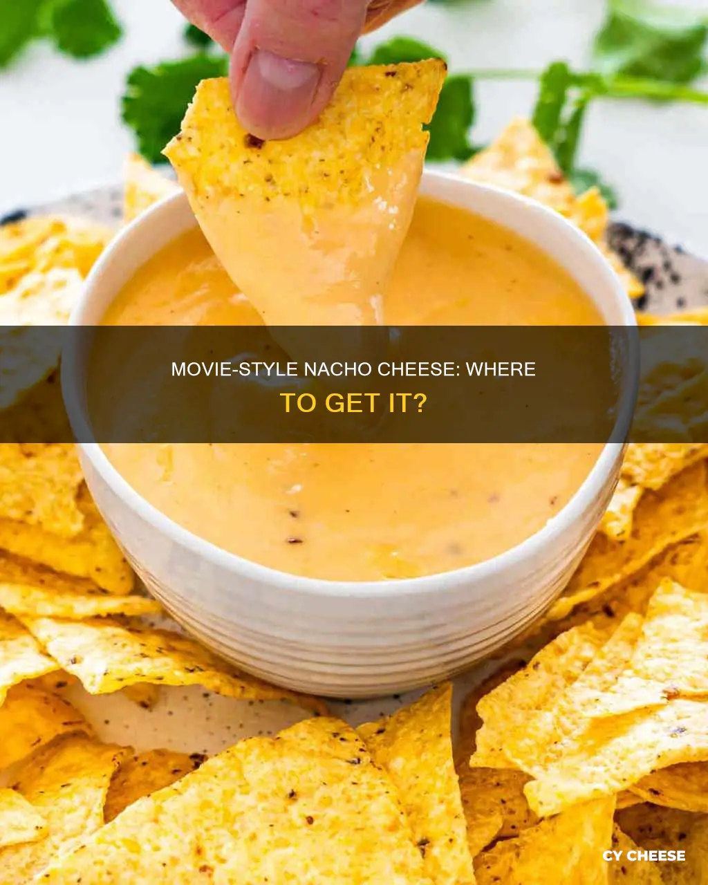where do i get nacho cheese like at the movies