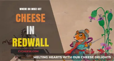 Mice and Cheese: Redwall's Tasty Treats