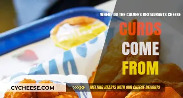 Culver's Cheese Curds Origin: Unveiling the Dairy Source Behind the Crunch