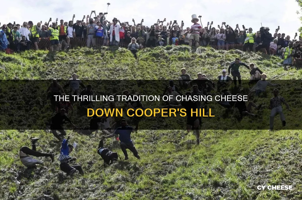 where do they chase cheese down a hill