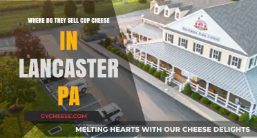 Cup Cheese: Lancaster, PA's Local Delicacy
