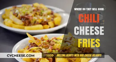 Discover the Best Spots to Buy Delicious Chili Cheese Fries