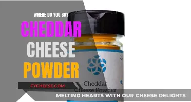 Where to Find Cheddar Cheese Powder: A Guide to the Best Sources