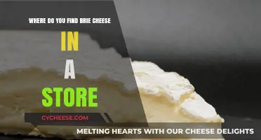 Where to Find Brie Cheese in Grocery Stores: A Quick Guide