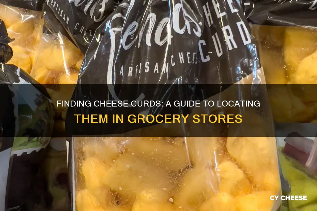 where do you find cheese curds in the grocery store