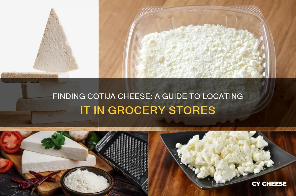 where do you find cotija cheese in the grocery store