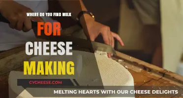 Sourcing Milk for Cheese Making: Best Practices and Reliable Suppliers
