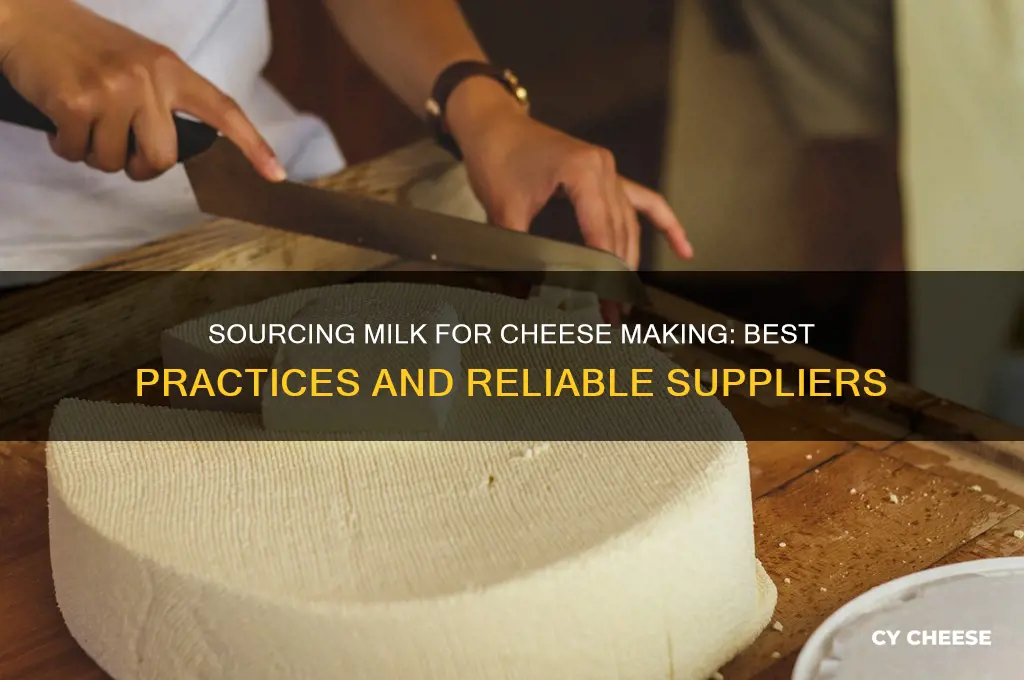 where do you find milk for cheese making