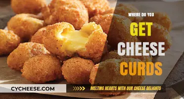 Cheese Curds: Where to Find This Delicious Treat