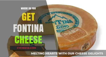 Fontina Cheese: Where to Find This Delicious Treat