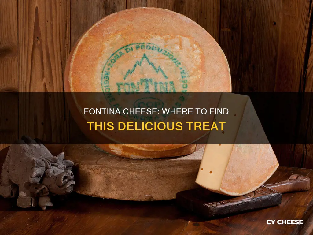 where do you get fontina cheese
