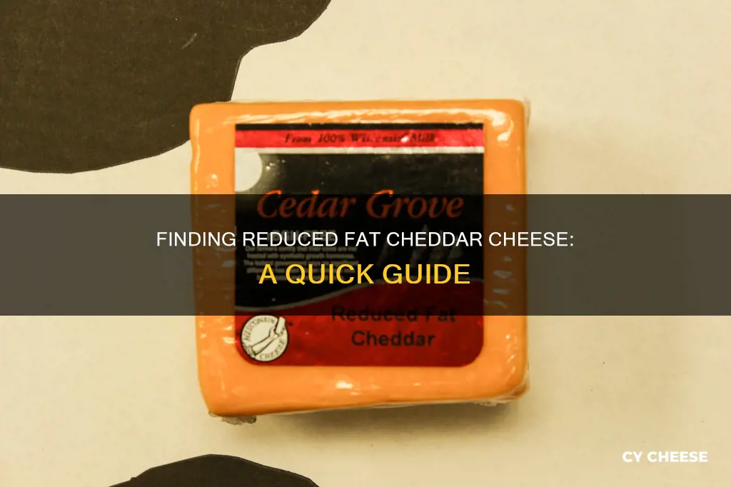 where do you get reduced fat cheddar cheese
